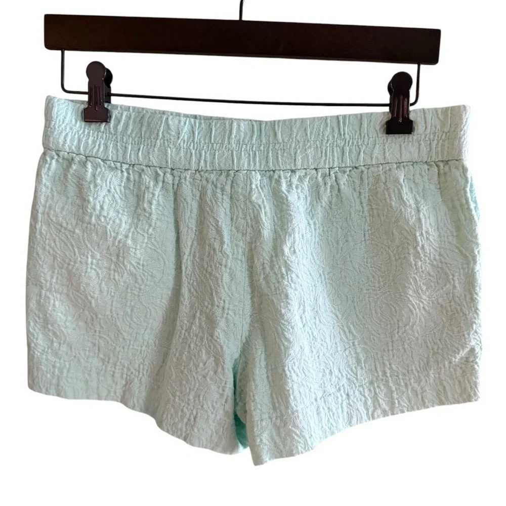 J Crew Women's 4 classic Shorts Cotton Mint Green Textured beach spring summer